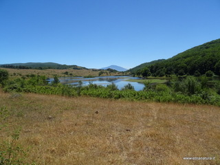 Biviere Cesaro